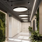 Halo Round LED Pendant Light | Minimalist Metal Ring Ceiling Light